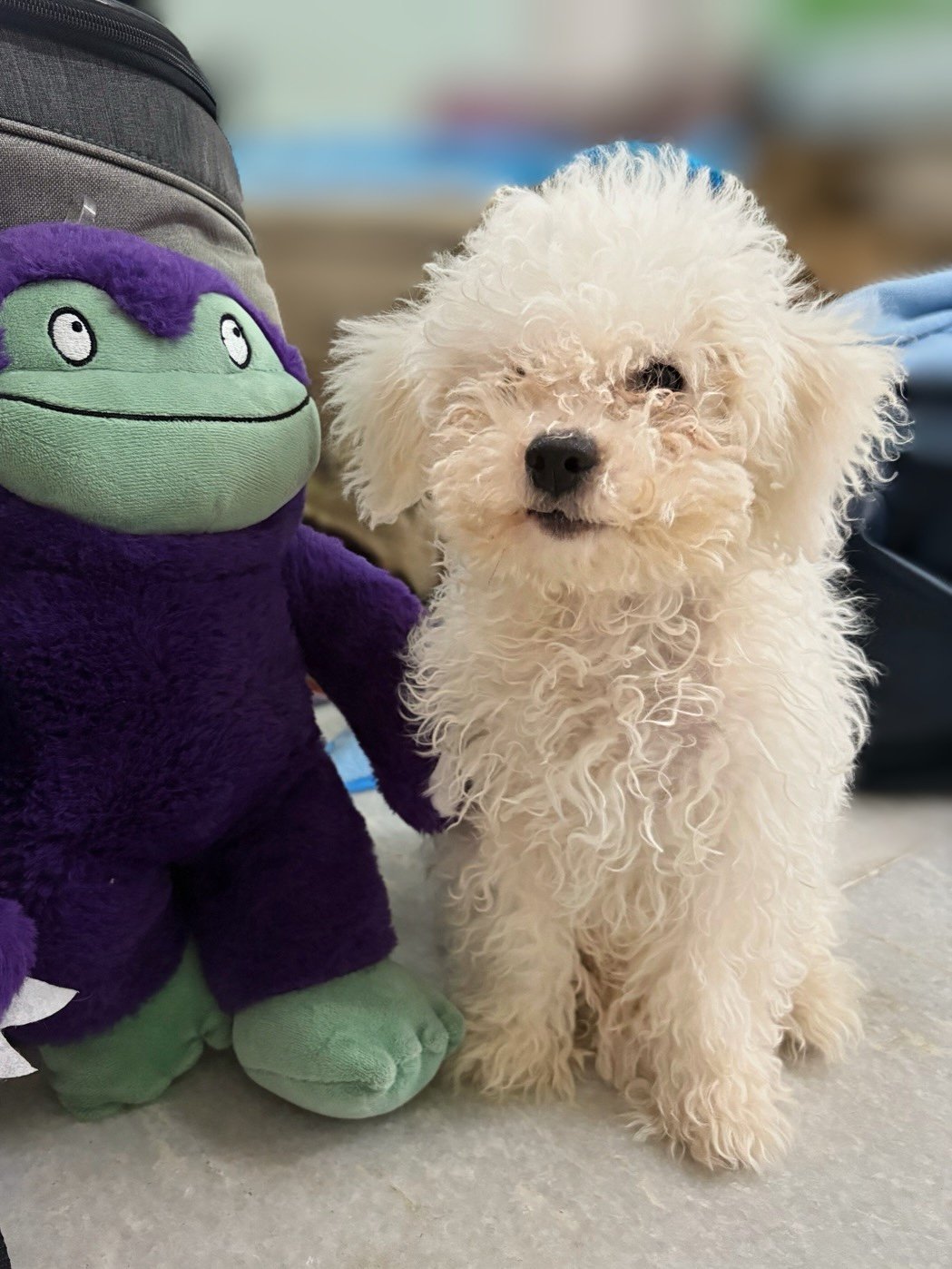Koda Monster